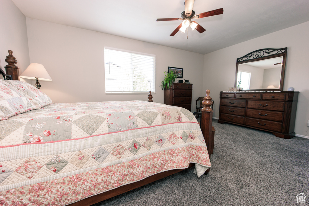 Carpeted bedroom with multiple windows and a ceiling fan