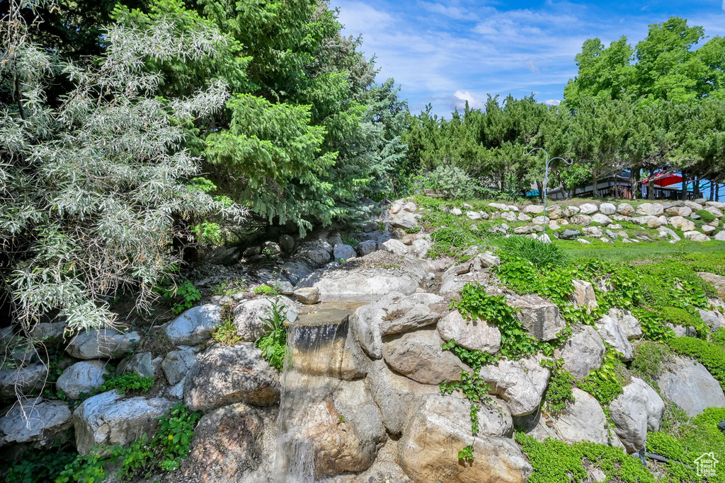 View of nature