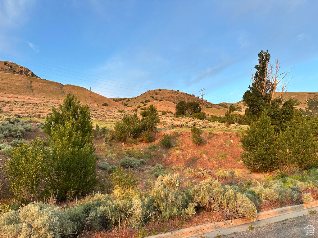 View of mountain background