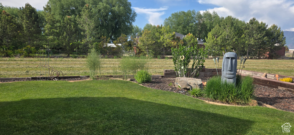 View of green lawn