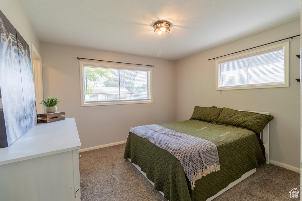 Carpeted bedroom featuring multiple windows and baseboards