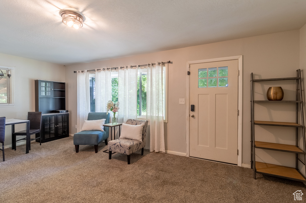 Foyer entrance featuring carpet and baseboards