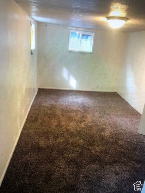 Below grade area featuring carpet floors