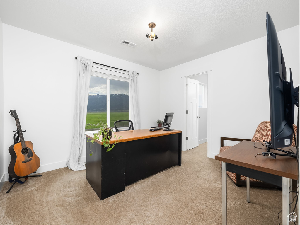 Office area with light carpet and baseboards