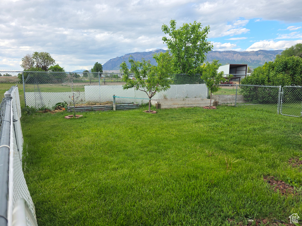 View of yard with a mountain view