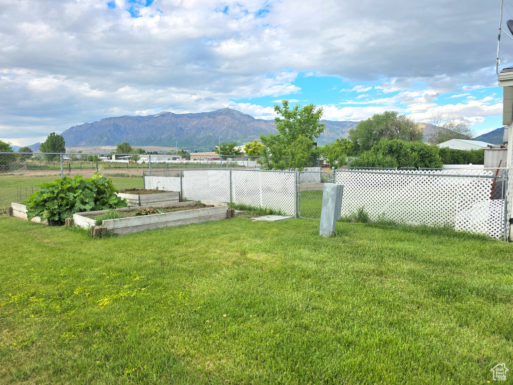 View of yard featuring a mountain view and a garden