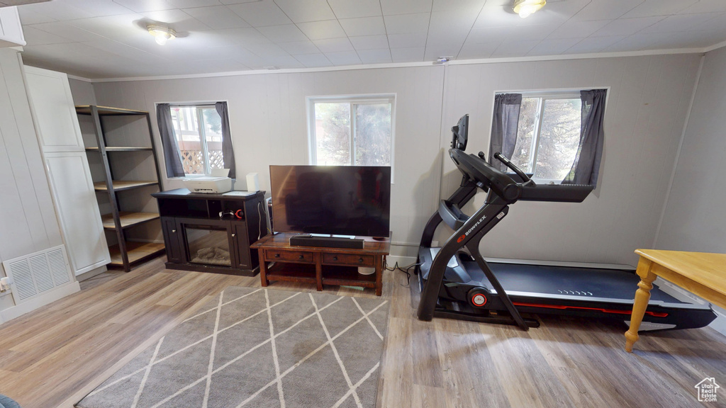 Exercise area with crown molding, wood finished floors, plenty of natural light, and baseboards