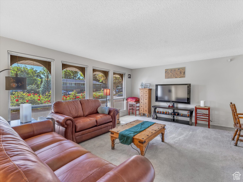 Carpeted living area with a textured ceiling