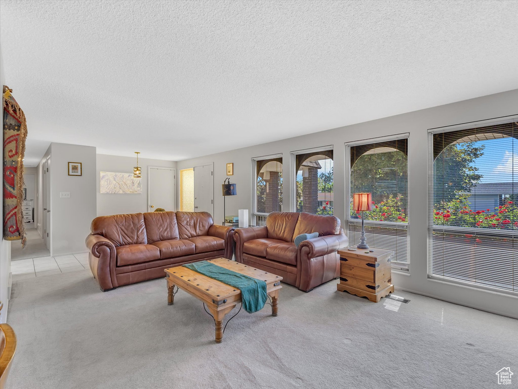Living area featuring plenty of natural light, a textured ceiling, and carpet floors