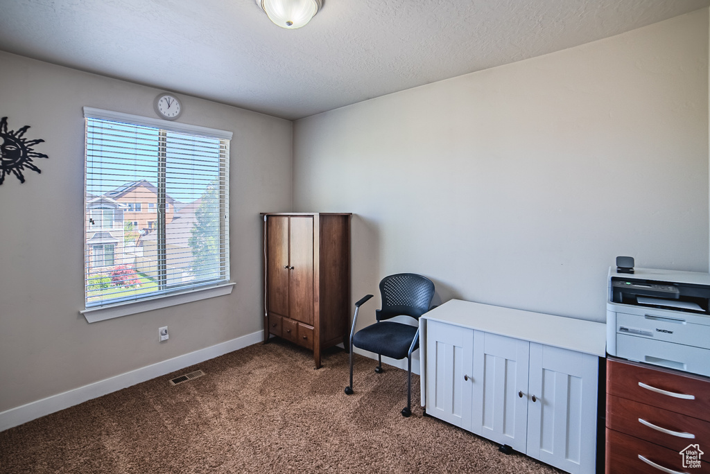 Home office with carpet flooring, baseboards, and a textured ceiling