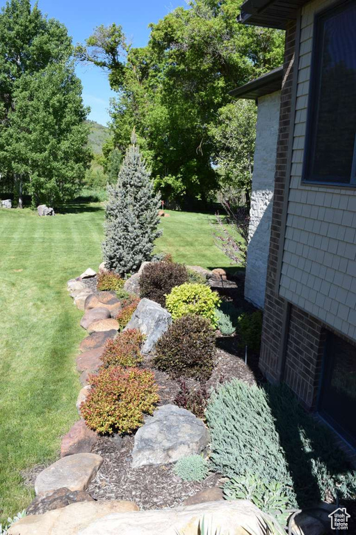 View of green lawn