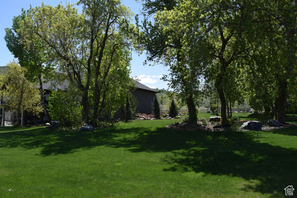 View of grassy yard