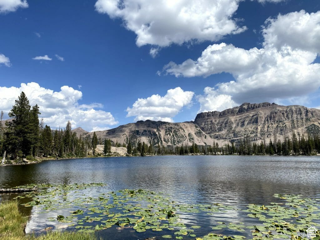 Water view with a mountain view