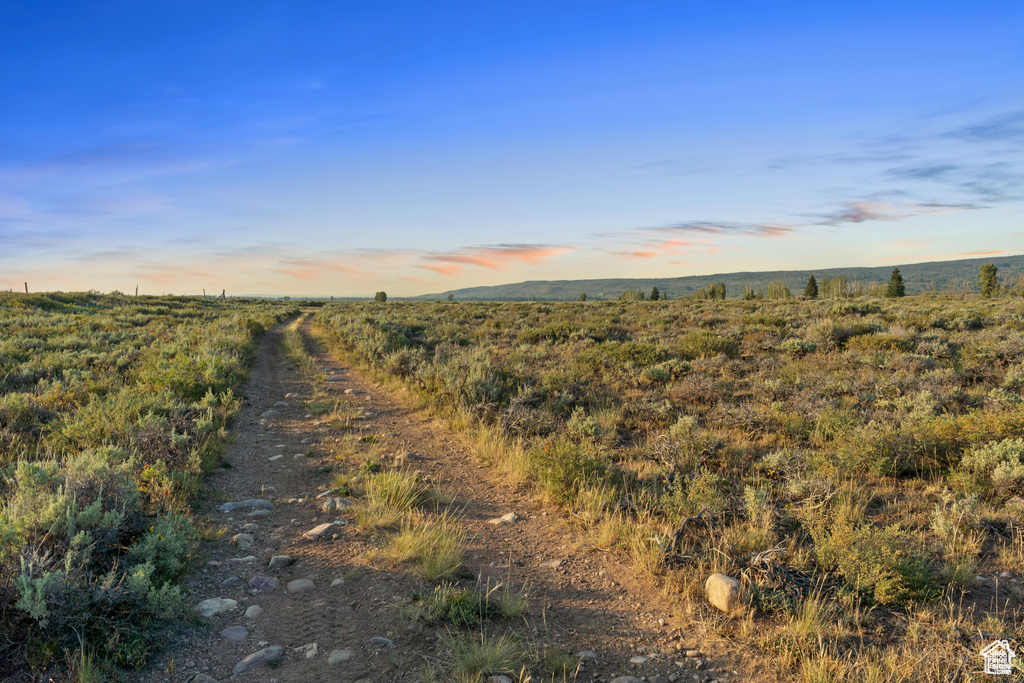 Nature at dusk with a rural view