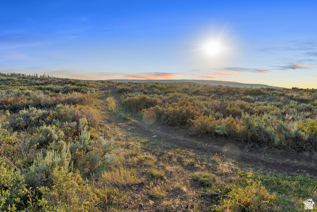 View of nature at dusk