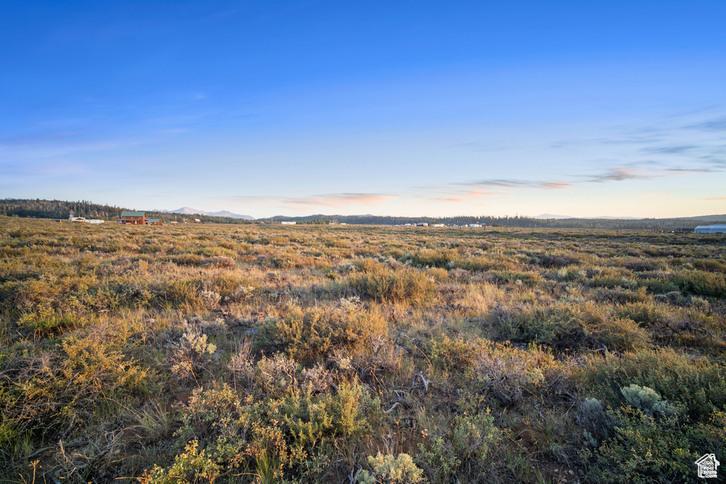 Nature at dusk with a rural view