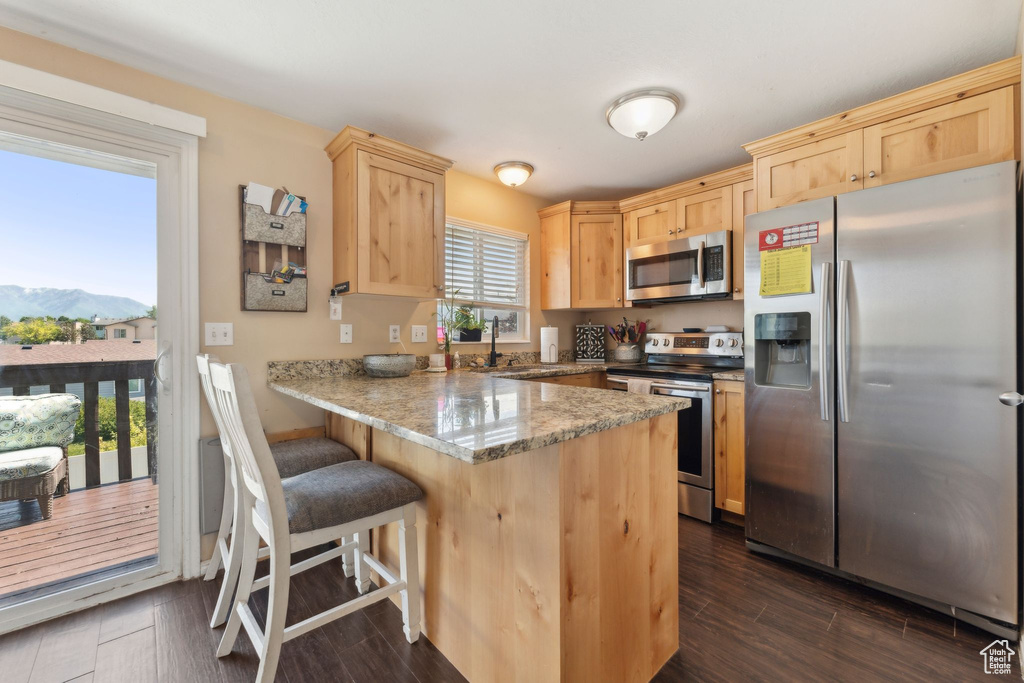 Kitchen featuring stainless steel appliances, light brown cabinetry, a peninsula, a sink, and a mountain view