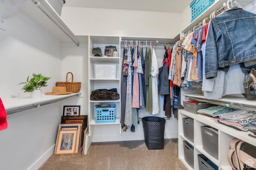 Spacious closet featuring carpet floors