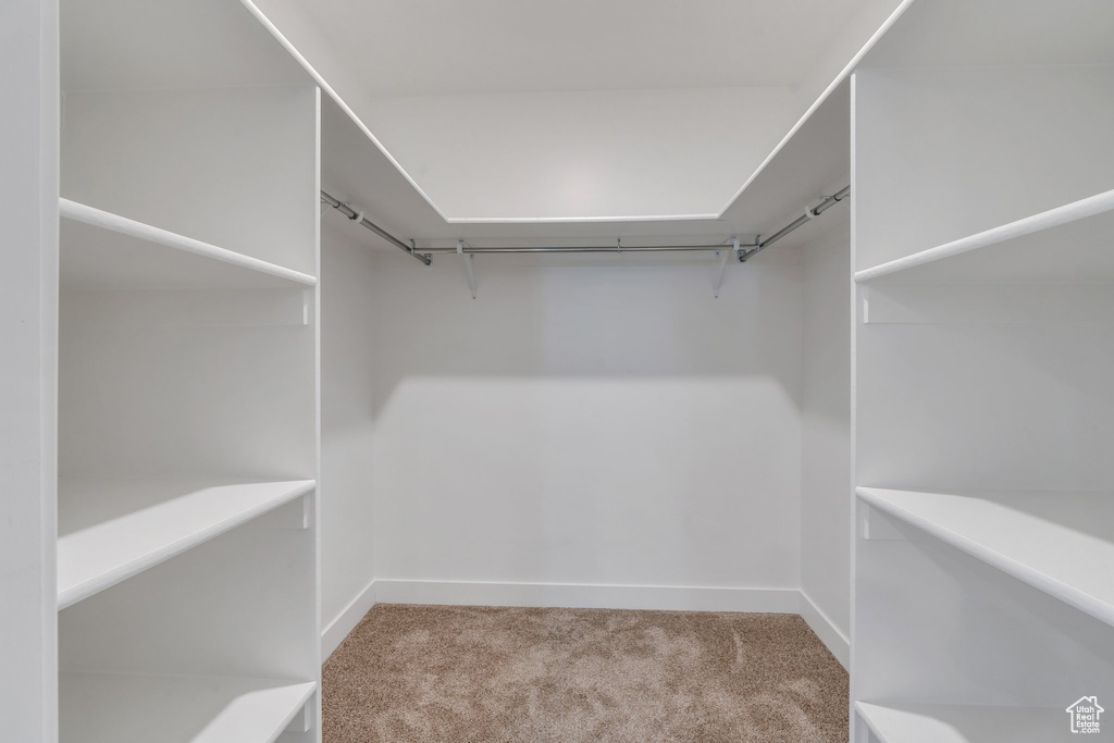 Walk in closet with carpet