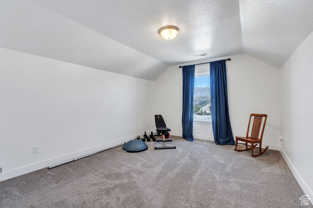 Exercise room featuring vaulted ceiling, a textured ceiling, carpet flooring, and baseboards
