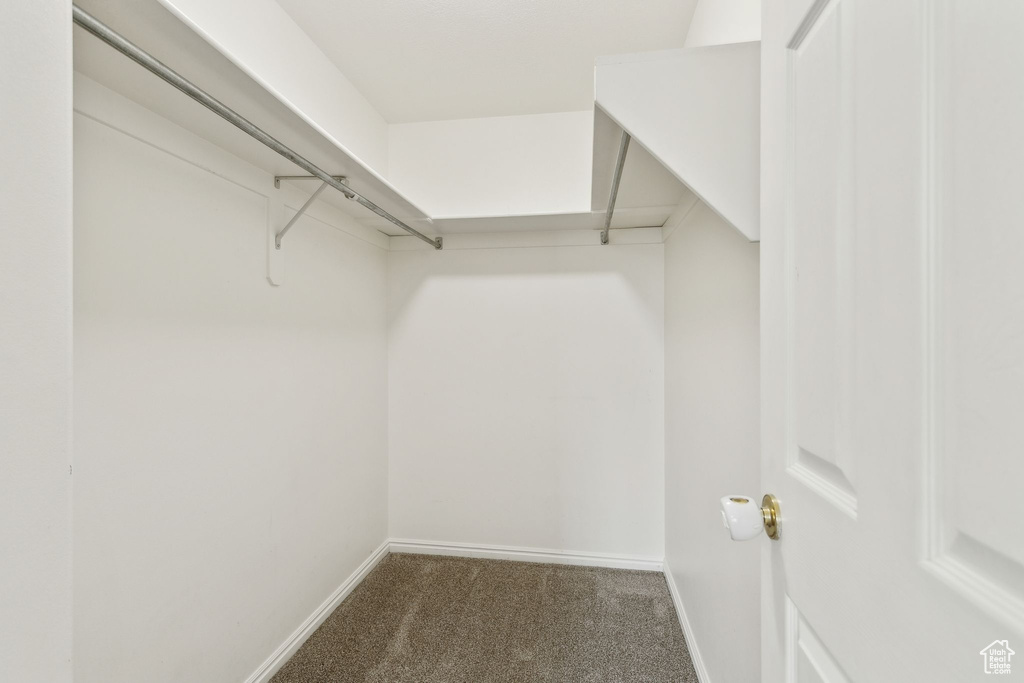 Walk in closet with carpet