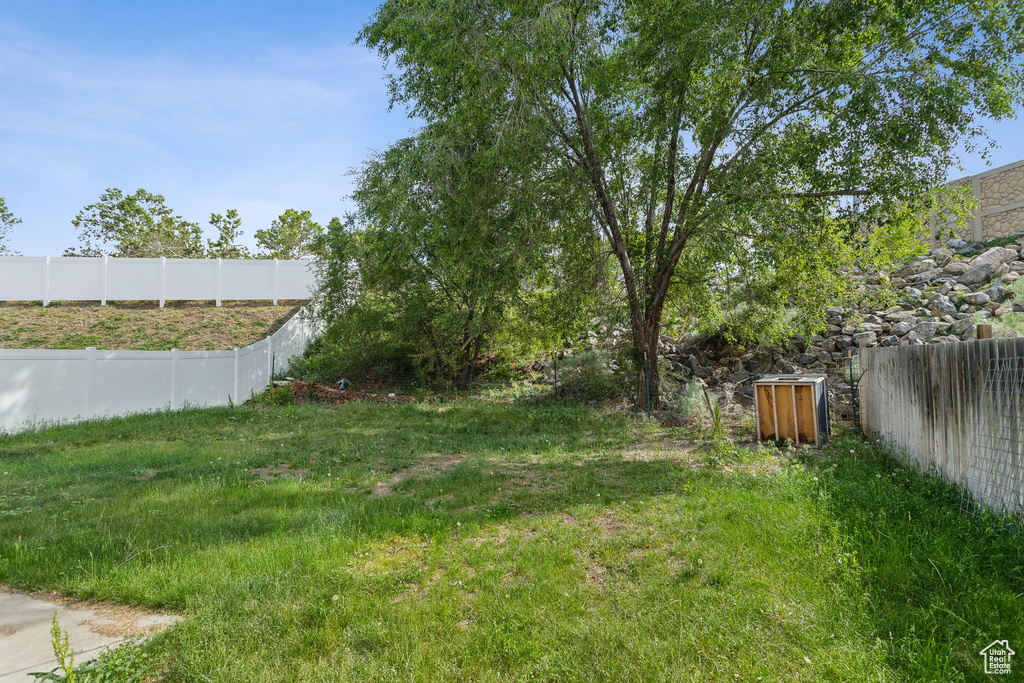 View of yard