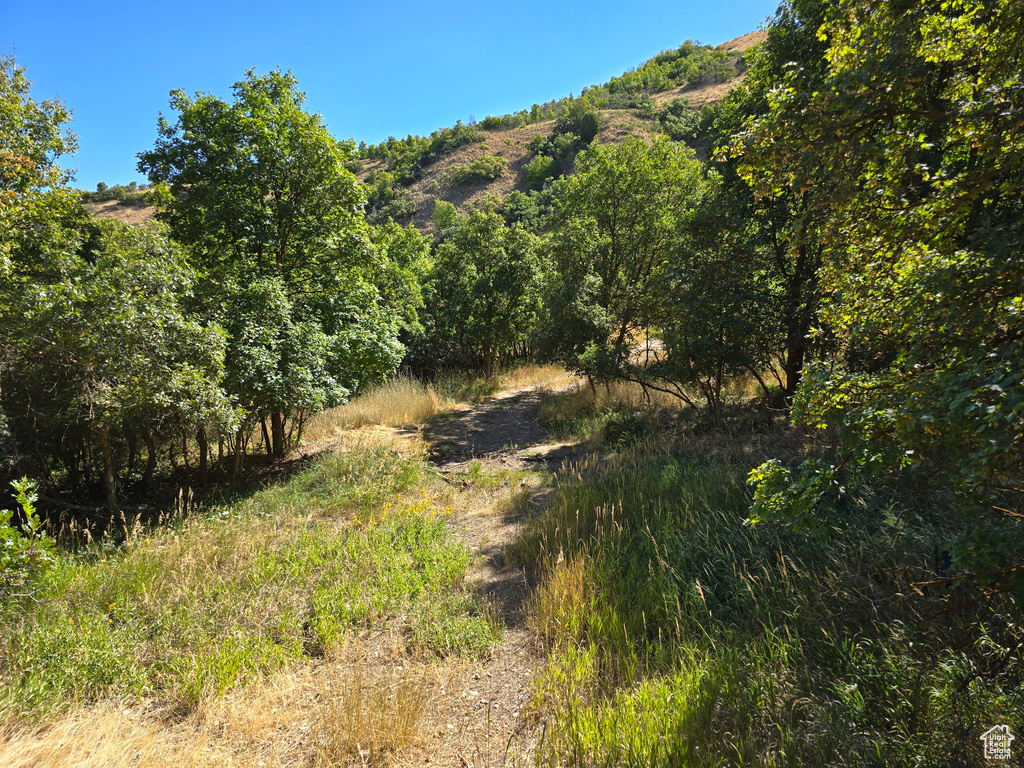 View of nature