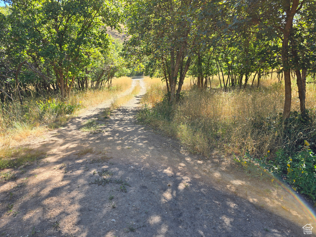 View of dirt / gravel road