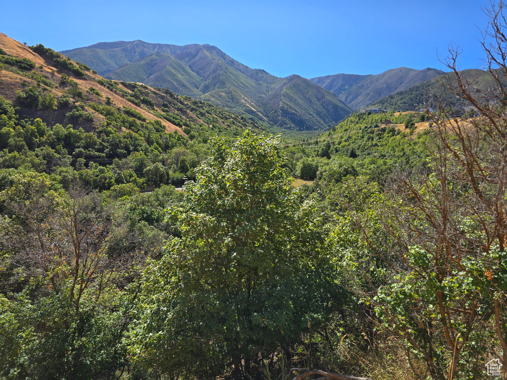 View of mountain background featuring a heavily wooded area