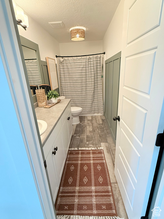 Bathroom featuring vanity, a textured ceiling, toilet, and curtained shower