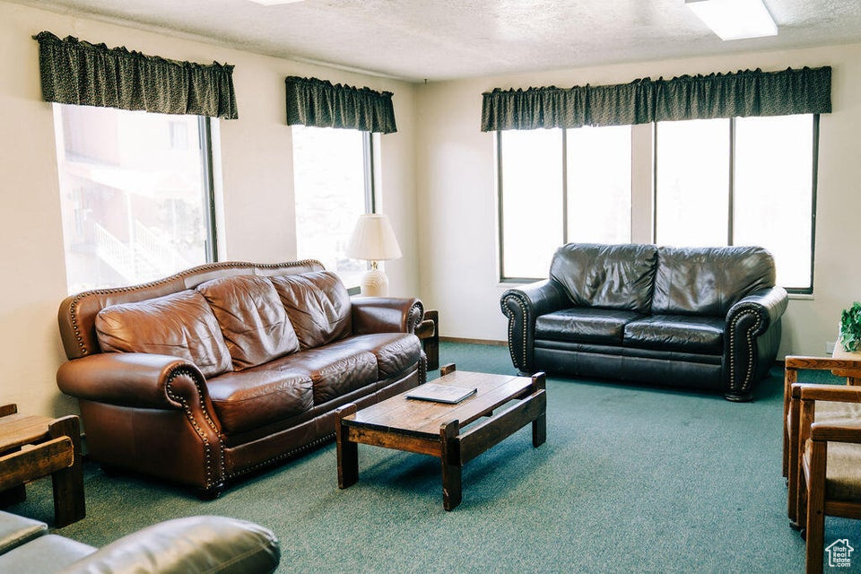 Carpeted living room with a textured ceiling