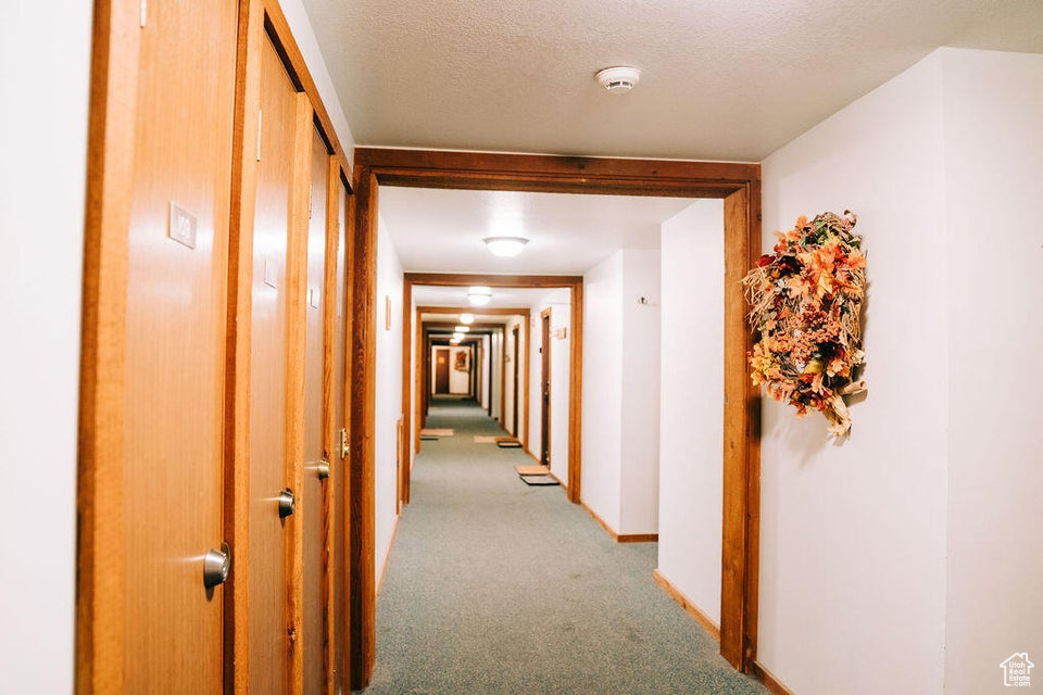 Hall with light colored carpet, a textured ceiling, and baseboards