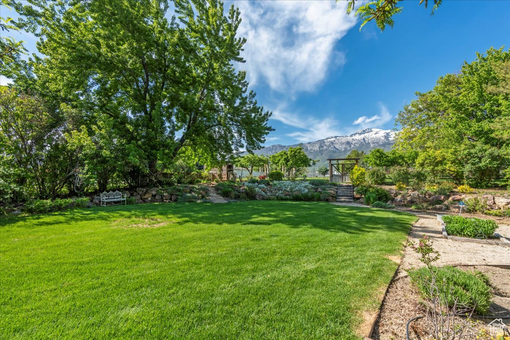 View of grassy yard featuring a mountain view