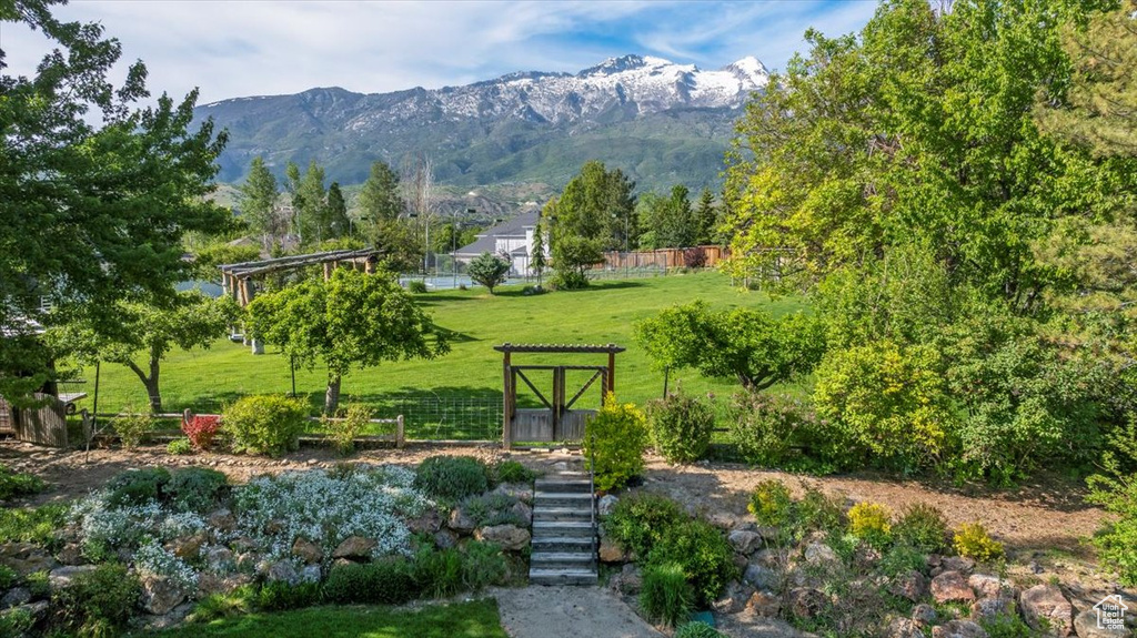 Mountain view