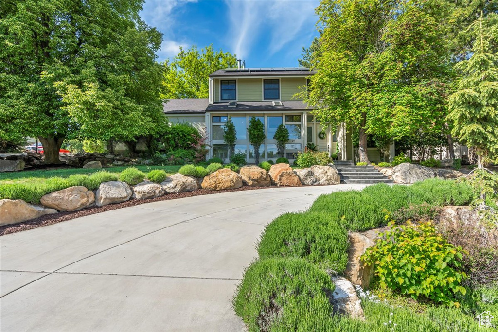 View of property hidden behind natural elements featuring roof mounted solar panels and concrete driveway