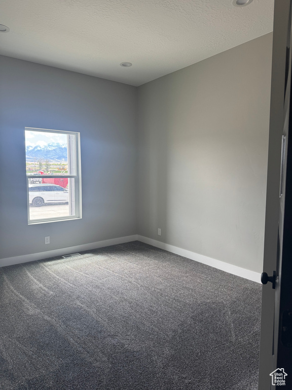 Spare room featuring carpet, baseboards, and a textured ceiling