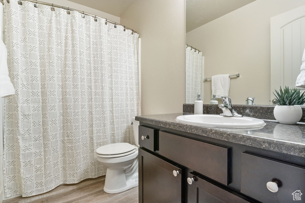 Full bathroom featuring vanity, toilet, wood finished floors, and a shower with shower curtain