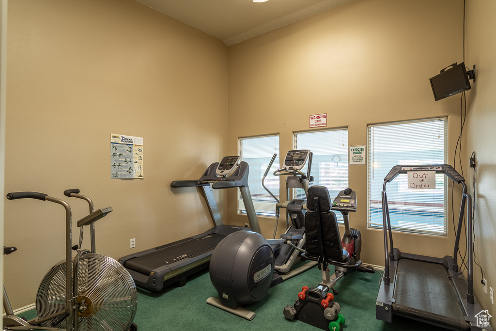 Exercise room with baseboards and carpet