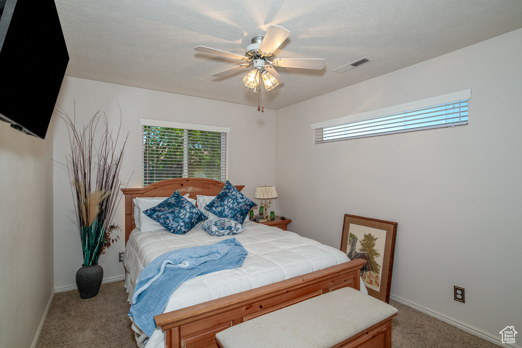 Bedroom featuring multiple windows, light colored carpet, and baseboards