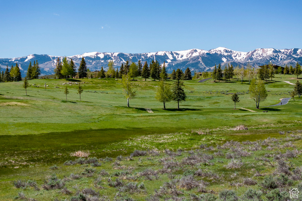 View of property's community with a mountain view and a lawn