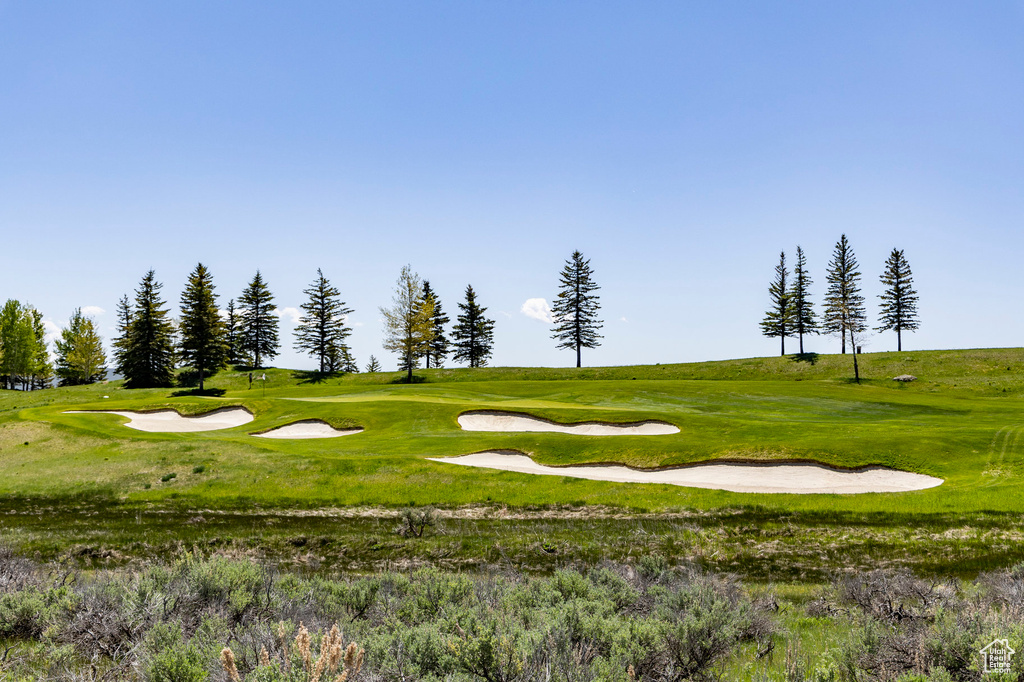 View of community featuring view of golf course