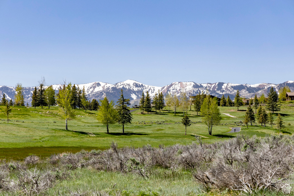Mountain view