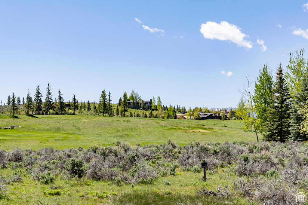 View of local wilderness