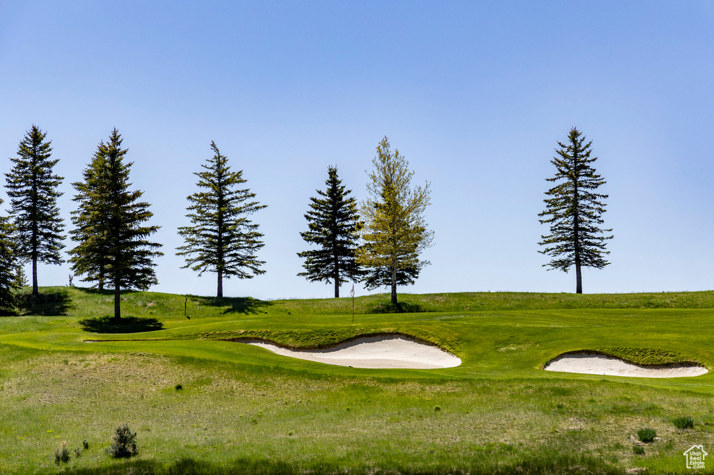 View of home's community with golf course view and a lawn