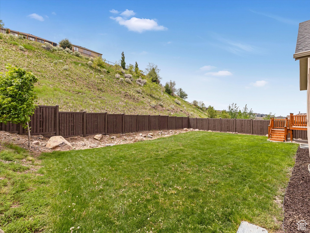 View of yard