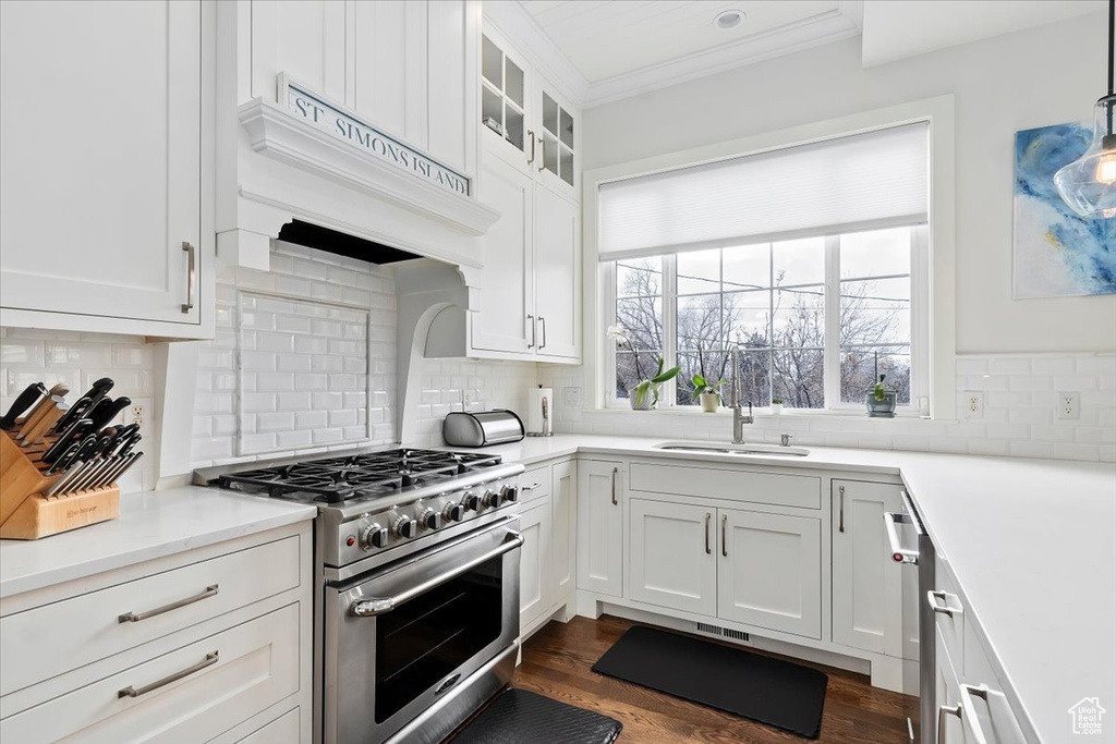 Kitchen featuring high end stove, crown molding, white cabinets, decorative backsplash, and a sink