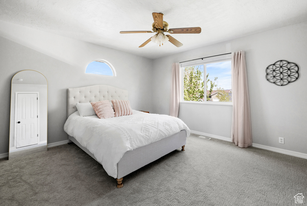 Carpeted bedroom with multiple windows, baseboards, and a ceiling fan