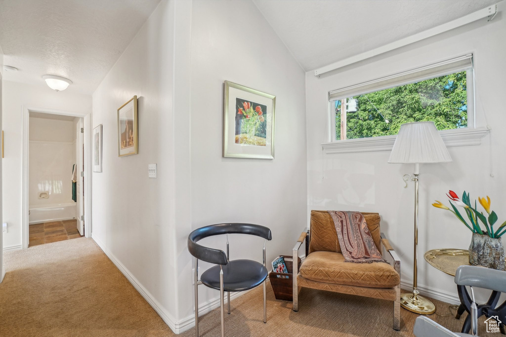 Living area with carpet, baseboards, and lofted ceiling