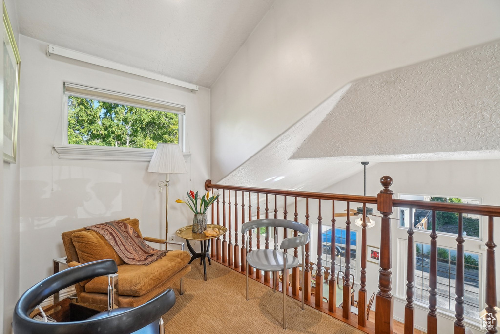 Living area with vaulted ceiling