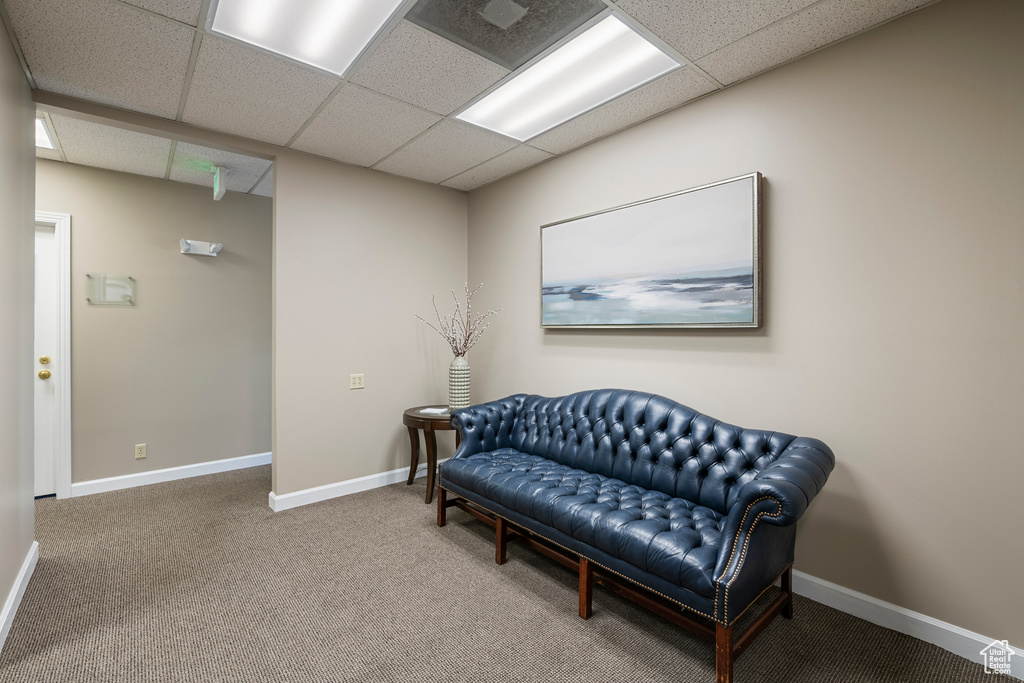 Sitting room featuring a drop ceiling, carpet flooring, and baseboards